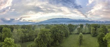 AUTORE: Luigi Dorigo - Ali e Radici Multivisioni AUTORE: Luigi Dorigo - Ali e Radici Multivisioni