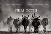 AUTORE: Pierluigi Rizzato e Giorgio Cividal AUTORE: Pierluigi Rizzato e Giorgio Cividal /